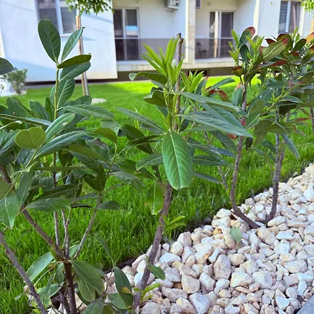 Noa Escape Apartament